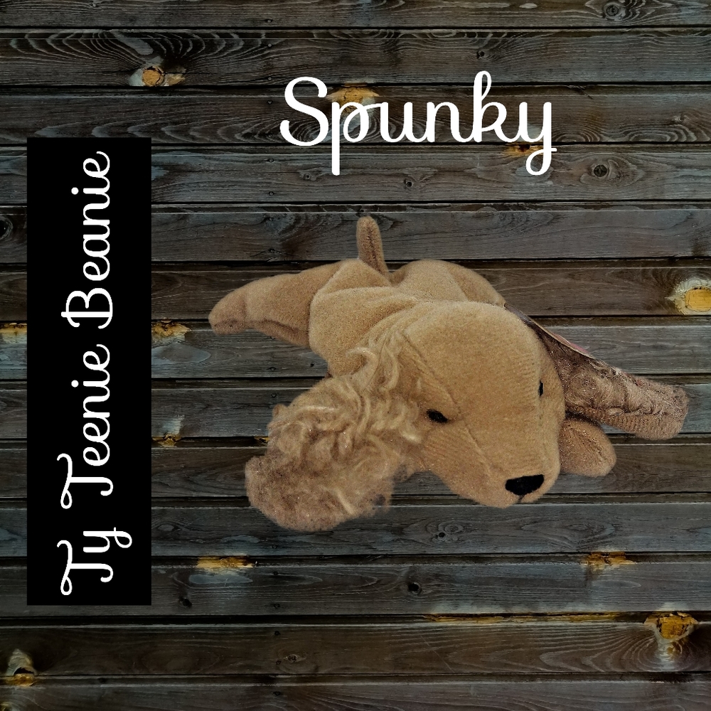 Ty Teenie Beanie ~ Spunky. Cocker Spaniel